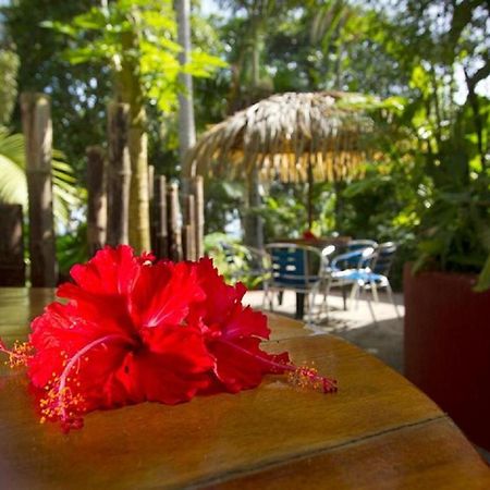 Villas Del Caribe Puerto Viejo de Talamanca Exteriör bild