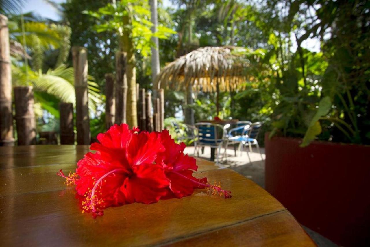 Villas Del Caribe Puerto Viejo de Talamanca Exteriör bild