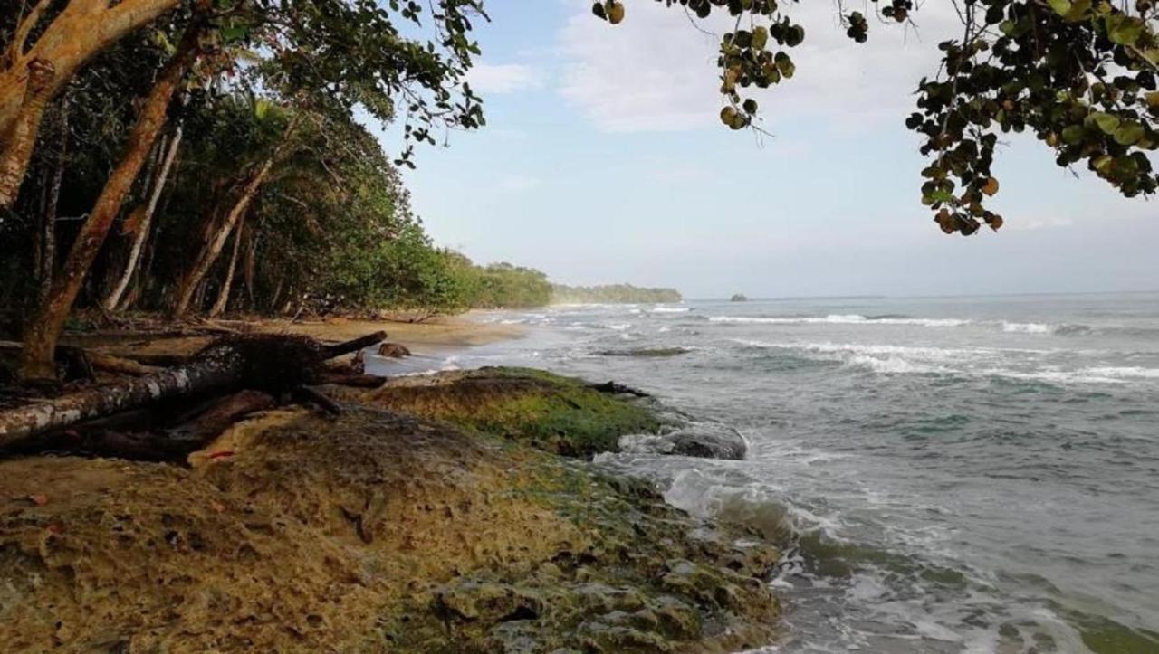 Villas Del Caribe Puerto Viejo de Talamanca Exteriör bild