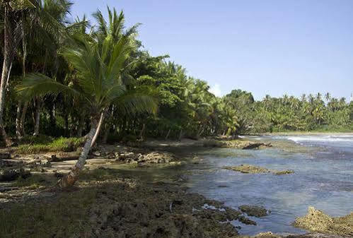 Villas Del Caribe Puerto Viejo de Talamanca Exteriör bild