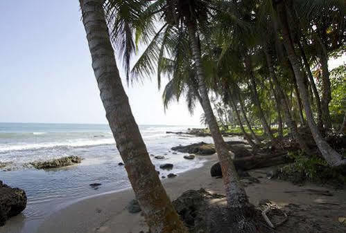 Villas Del Caribe Puerto Viejo de Talamanca Exteriör bild